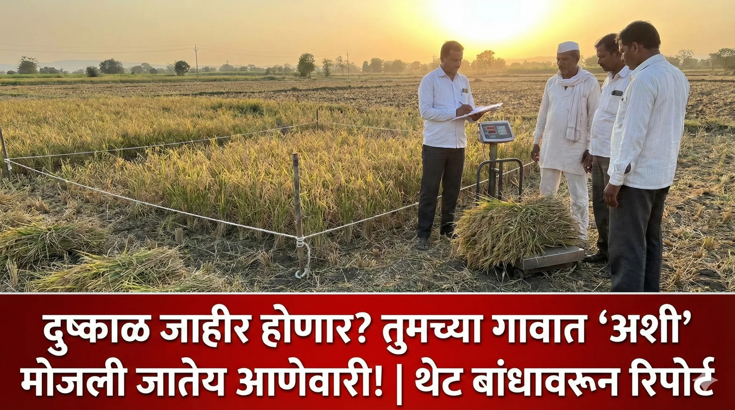 Jaminichi anewari kashi mojavi